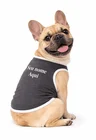 01 roupa pet personalizada grey