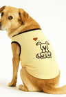 01 roupa pet divertido family yelow